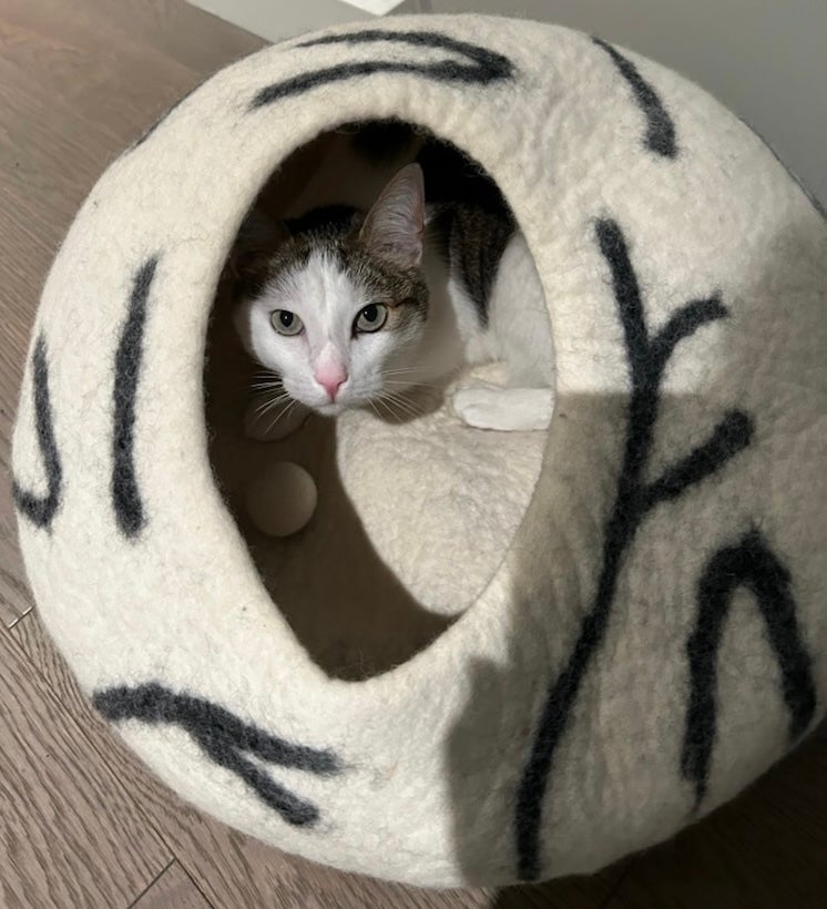 Felted cat cave best sale